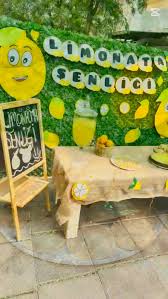 Serinletici limonata servisi